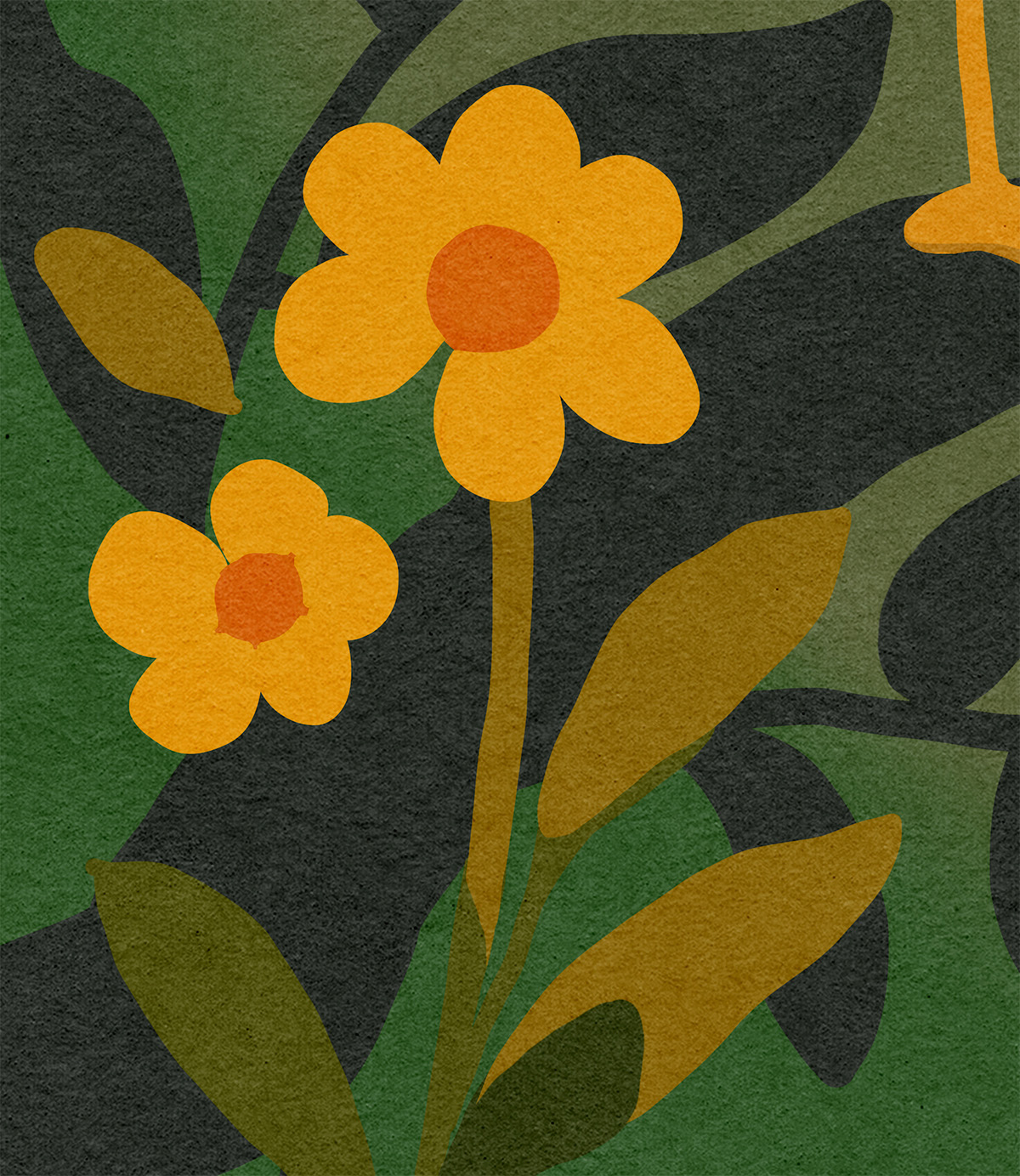 blume 01