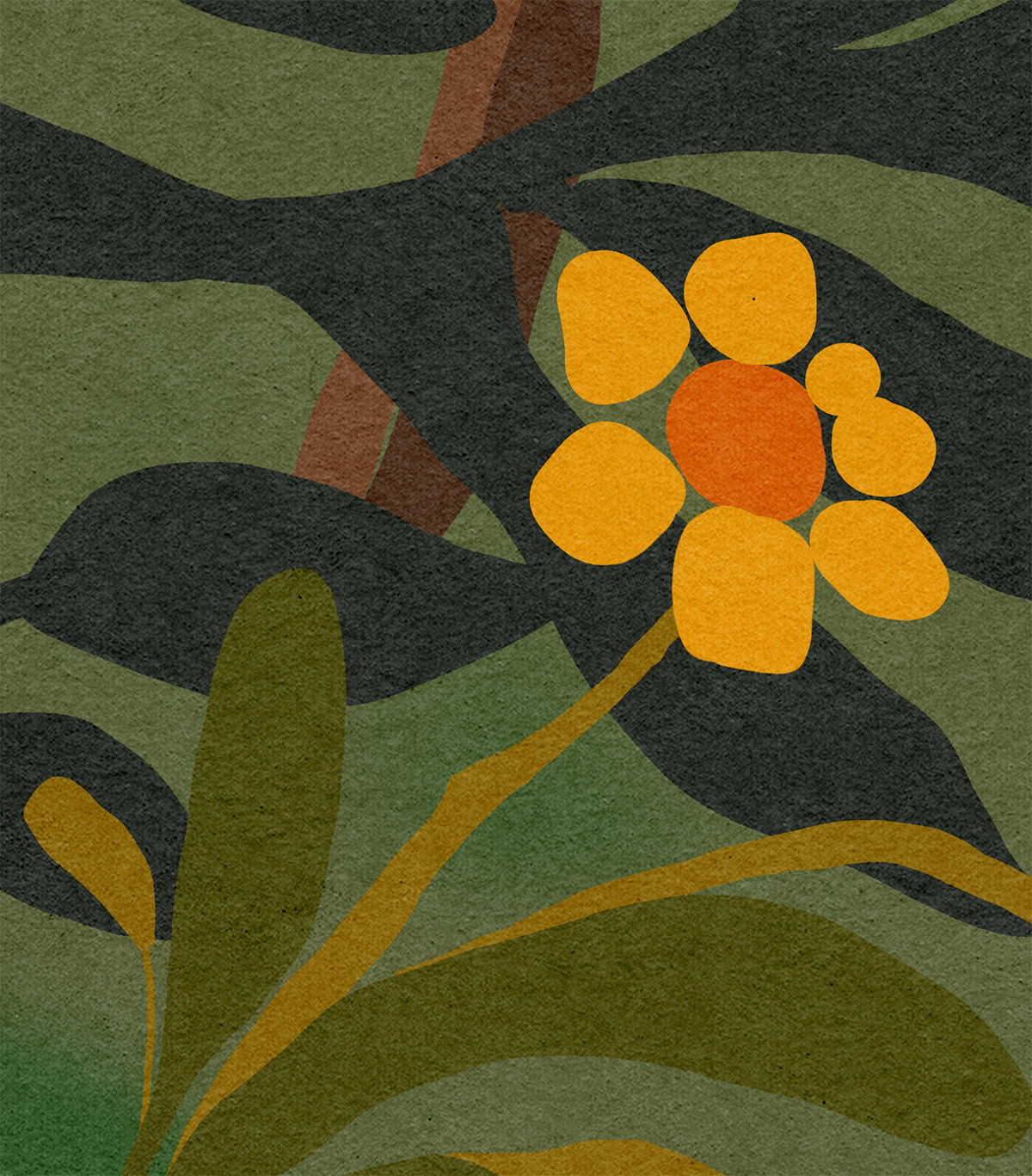 blume 02